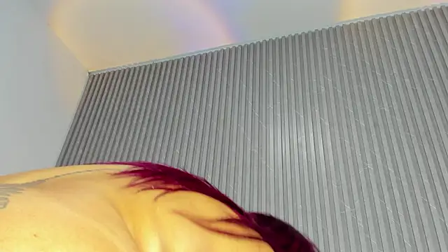 DAFNECOX online show from 11, 10, 2025