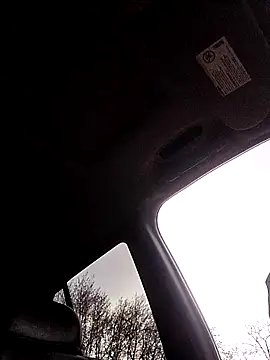 1234locos online show from 31, 3, 2026