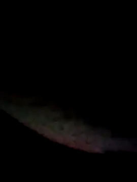 kamita-12 online show from 16, 1, 2026