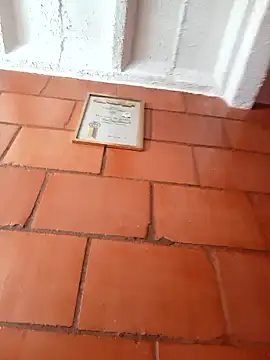 Lee priest online show from 17, 1, 2026