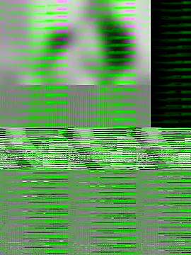 Snapshot of Paugrosso1764 chatting on 19, 11, 2025 Paugrosso1764 online show from 19, 11, 2025