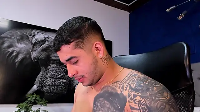 king falconer online show from 13, 1, 2026