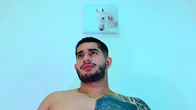 king falconer online show from 4, 2, 2026