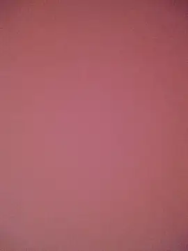 Snapshot of PointXXL chatting on 9, 3, 2026 PointXXL online show from 9, 3, 2026