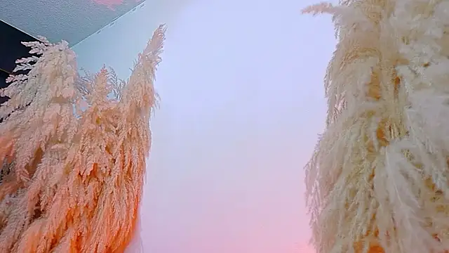 JulietaDavis online show from 19, 2, 2026