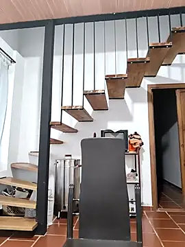 Hiroshi Shen online show from 17, 11, 2025