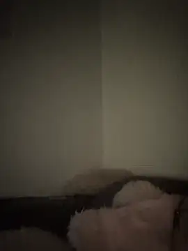 Bimalehung online show from 16, 11, 2025