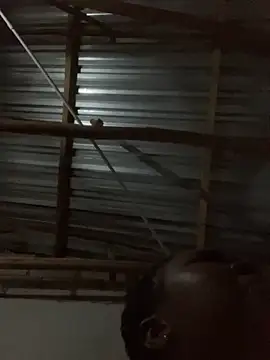 ChubbyAssyiyer online show from 12, 9, 2025