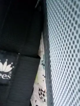 candy  fox  online show from 14, 2, 2026