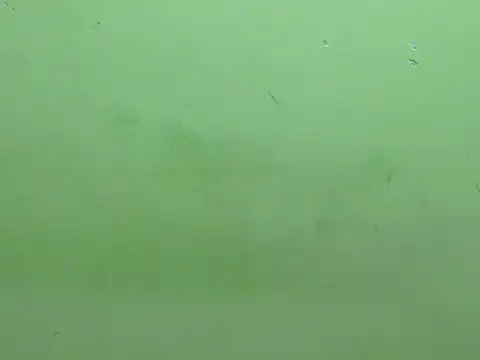 rockyy23boy online show from 15, 10, 2025