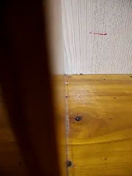 daisylouis online show from 24, 3, 2026