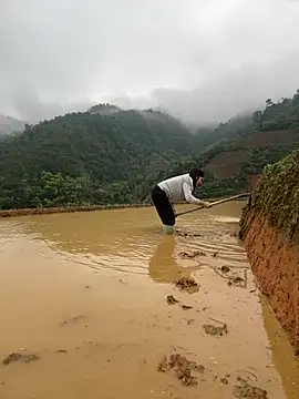 ThiHa003 online show from 2, 4, 2026