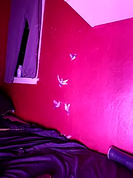 Cnutt310 online show from 25, 10, 2025