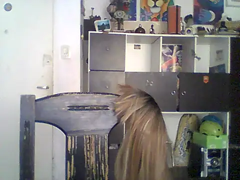 Snapshot of Bebita-zmp chatting on 21, 5, 2026 Bebita-zmp online show from 21, 5, 2026