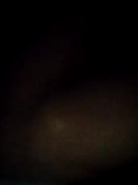 t2pnb online show from 3, 12, 2025