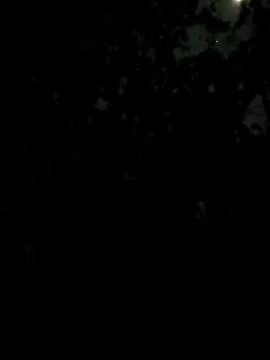 Girls pussy rider online show from 27, 2, 2026