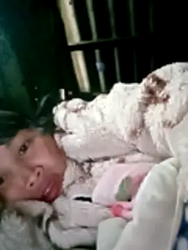 maple694 online show from 10, 1, 2026