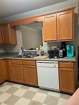 Snapshot of TransSams chatting on 30, 10, 2025 TransSams online show from 30, 10, 2025