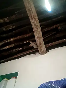 Hot siiii online show from 1, 11, 2025