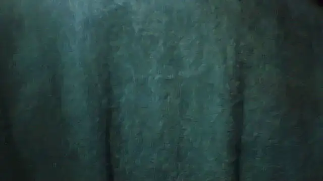 pietje1991 online show from 28, 2, 2026