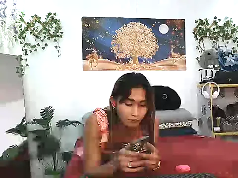 youarea dreamer online show from 6, 4, 2026