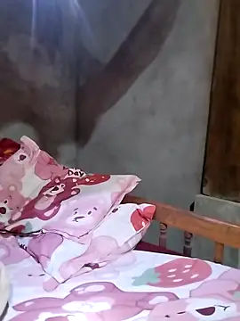 Tiyir597 online show from 1, 3, 2026