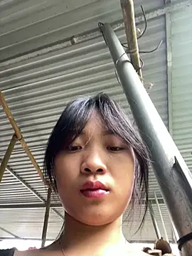 Phayphay77 online show from 14, 10, 2025