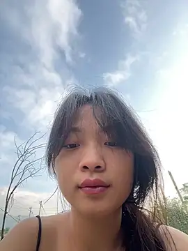 Phayphay77 online show from 6, 11, 2025