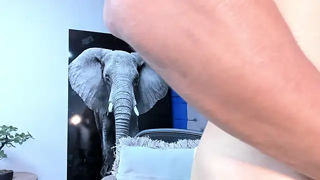 andres-clark92 online show from 20, 9, 2025