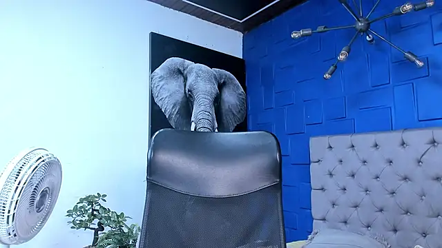 andres-clark92 online show from 26, 10, 2025