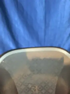 Rashi-48 online show from 17, 11, 2025