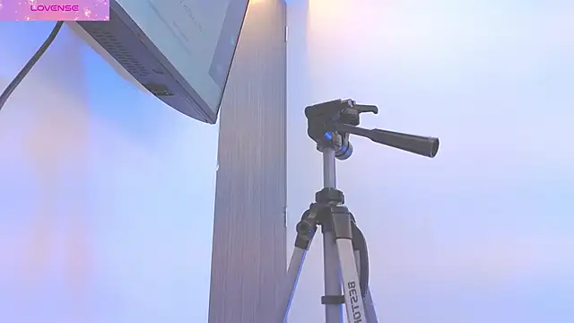 Daisy Price online show from 18, 3, 2026