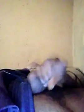 Dadgodd online show from 8, 1, 2026