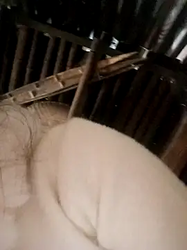 Bianly online show from 15, 11, 2025