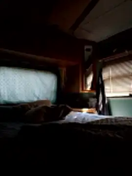 ShawnandDani7074 online show from 20, 12, 2025