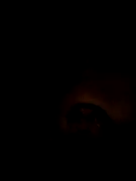 ShawnandDani7074 online show from 7, 2, 2026