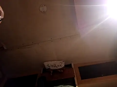 ShawnandDani7074 online show from 28, 3, 2026