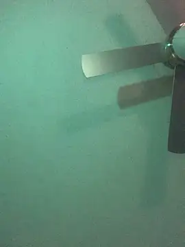 Triggerhappycj100 online show from 24, 10, 2025