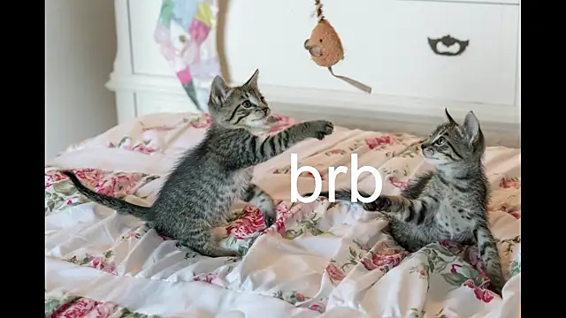 Pink girl0n online show from 24, 9, 2025