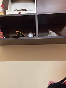 modelnishu online show from 9, 4, 2026