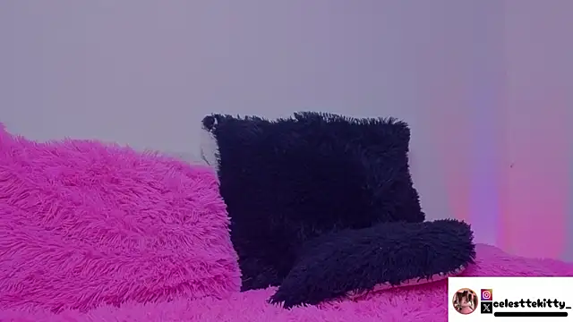 celestte evans 1 online show from 11, 4, 2026