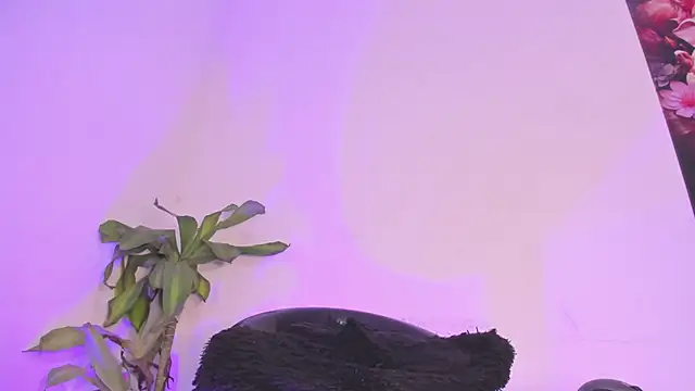 Lucy shen  online show from 10, 1, 2026