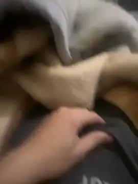 zackria online show from 20, 12, 2025