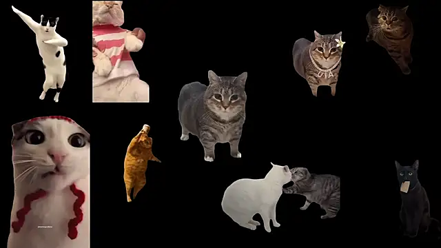 ch0wn m online show from 14, 11, 2025