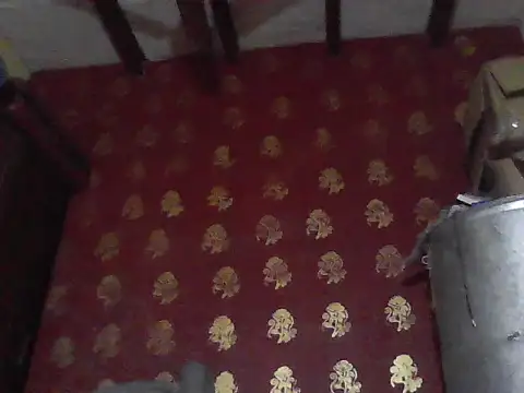 ursdreamperson online show from 3, 2, 2026