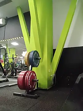 ReynadelRey online show from 14, 2, 2026