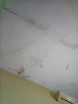 cometa267 online show from 14, 10, 2025