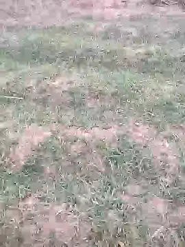 sonotutto online show from 12, 10, 2025