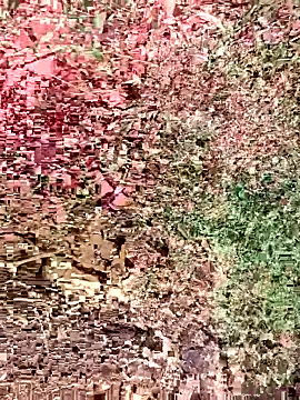 sonotutto online show from 15, 10, 2025