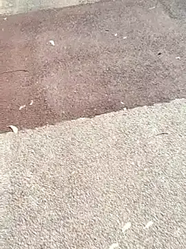 sonotutto online show from 2, 11, 2025